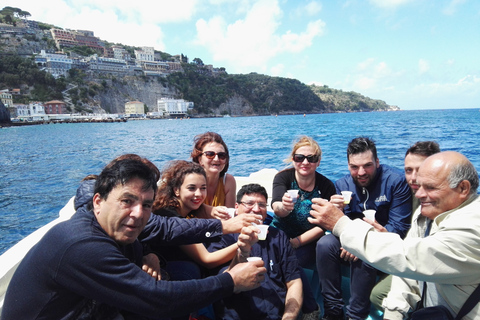 Van Sorrento: vissen in Capri met lunch