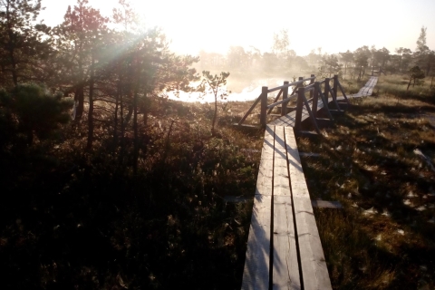 De Riga: Sentier naturel du parc national de Kemeri