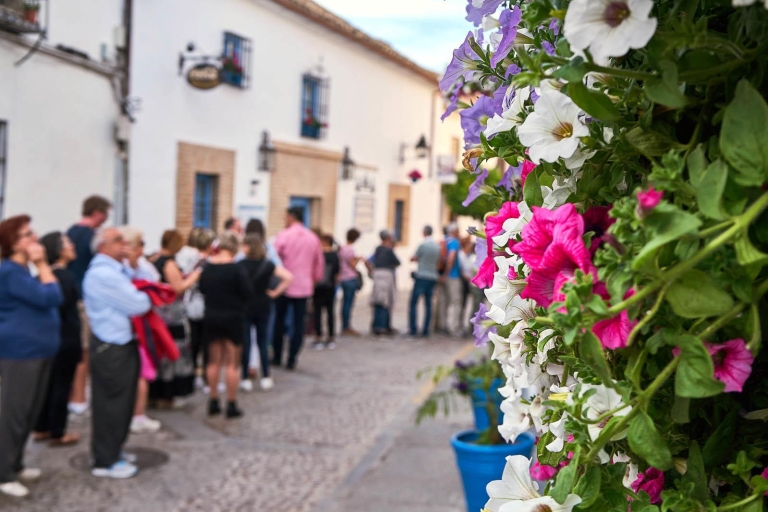 Córdoba: visita guiada por los patiosTour en inglés