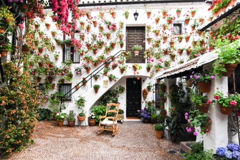 Córdoba: visita guiada por los patiosTour en inglés