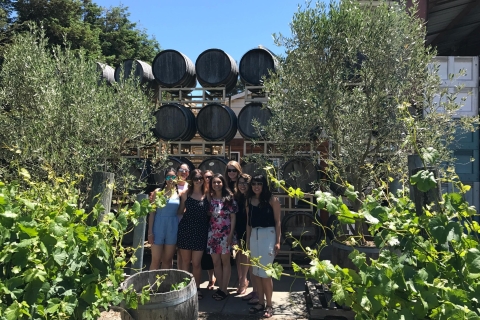 San Francisco: Wycieczka po winnicach Sonoma w małej grupie z degustacjami