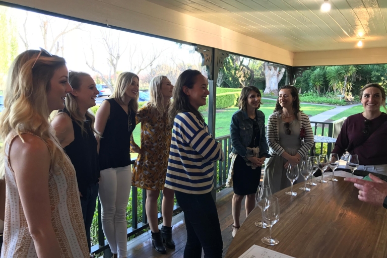 San Francisco: Small-Group Sonoma Wine Tour with Tastings