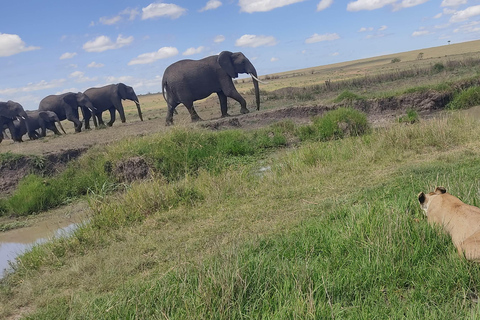 Safari de luxe de 6 jours : Hébergement de luxe