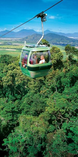 Skyrail Rainforest Cableway Round-Trip Experience