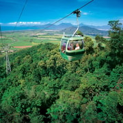 Skyrail Rainforest Cableway Round-Trip Experience