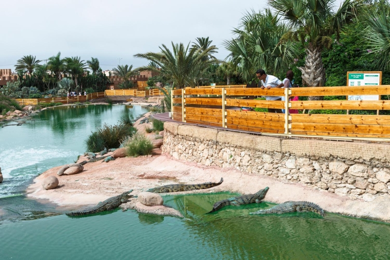 Transfert et billet pour le Crocoparc d’Agadir