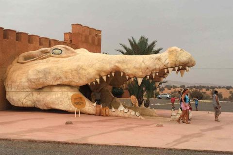 Crocoparc di Agadir: biglietto e transfer