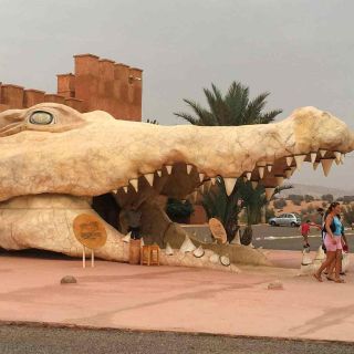 Crocoparc di Agadir: biglietto e transfer