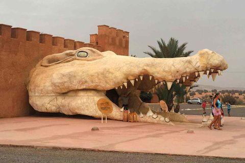 Agadir Crocoparc: Ticket de entrada y trasladoPara los pasajeros del puerto de Agadir y de los cruceros