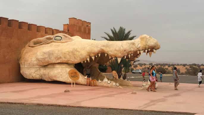 agadir crocoparc ticket and transfer