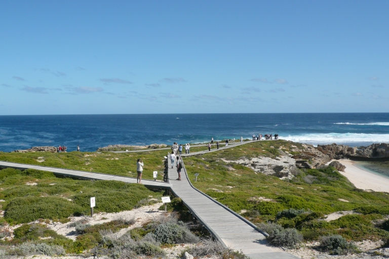 From Perth: Rottnest Island Ferry & Bus Tour From Central Perth without Pickup