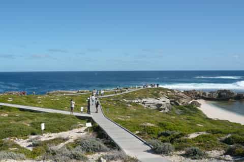 From Perth: Rottnest Island Ferry & Bus Tour