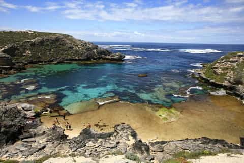 From Perth: Rottnest Island Ferry & Bus Tour