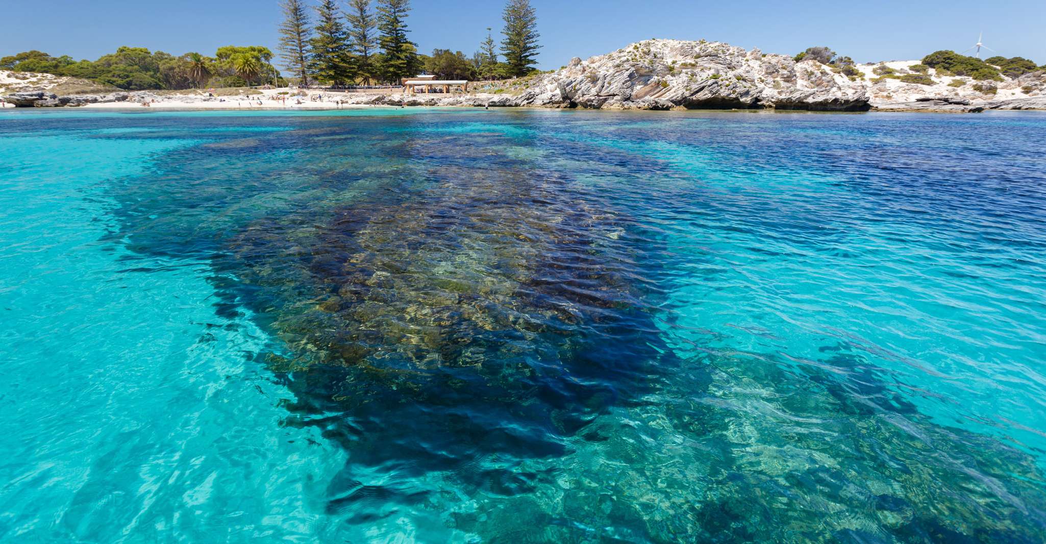 Rottnest Island Day Trip by Ferry & Adventure Boat Tour - Housity