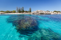 Rottnest Island Day Trip by Ferry & Adventure Boat Tour - Housity