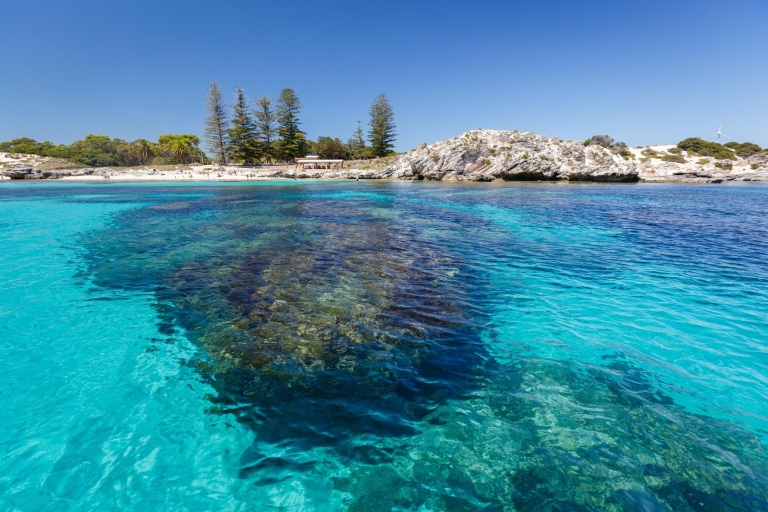 Rottnest Island Day Trip by Ferry & Adventure Boat Tour From Central Perth without Pickup