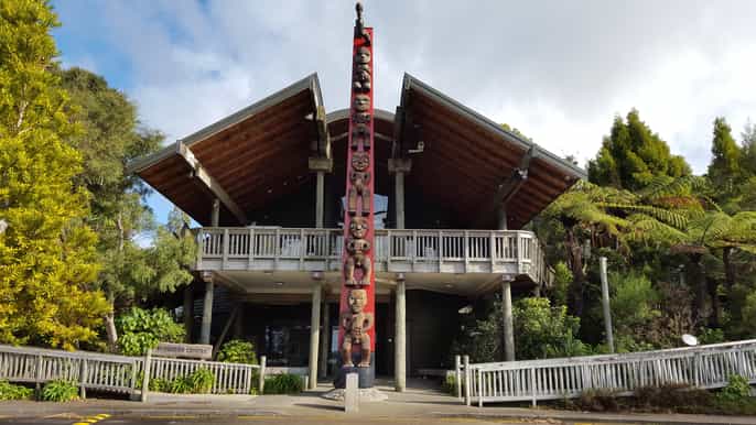 waitakere ranges wilderness experience tour from auckland