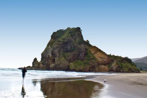 Tour dell'esperienza nella natura selvaggia dei Waitakere Ranges da Auckland