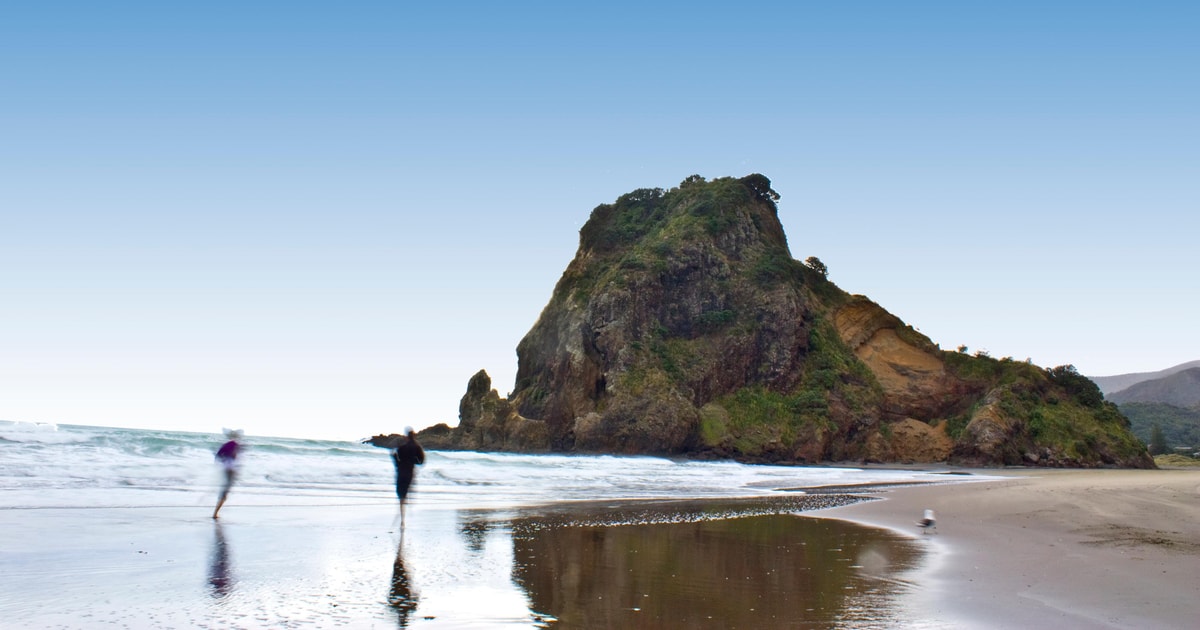 Waitakere Ranges Cliffs Waitakere Ranges Wilderness Experience Tour from Auckland | GetYourGuide
