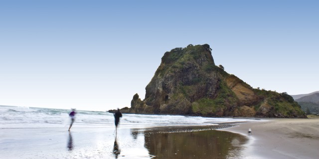 Visit Waitakere Ranges Wilderness Experience Tour from Auckland in Auckland