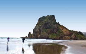 Waitakere Ranges Wilderness Experience Tour from Auckland