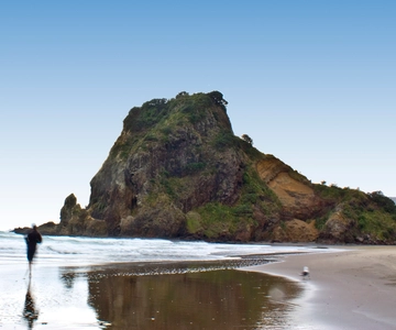 Waitakere Ranges Wilderness Experience Tour from Auckland
