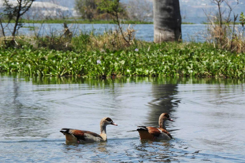Nairobi: Crescent Island Sanctuary Day Trip with Lunch Nairobi: Crescent Island Sanctuary private day Trip