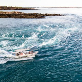 Cygnet Bay Giant Whirlpool Tidal Boat Experience