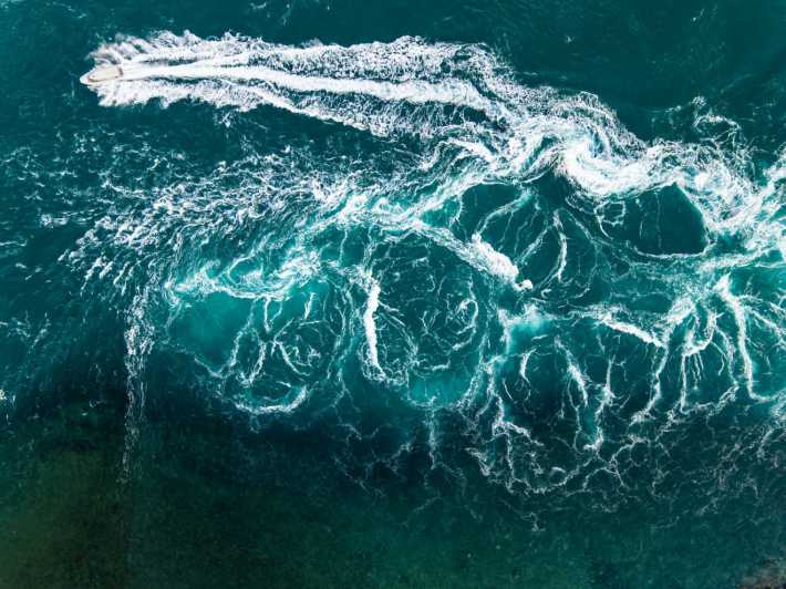 cygnet bay giant tides tour