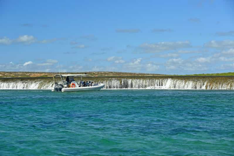 Cygnet Bay Unique Tidal Waterfall Reefs Scenic Cruise