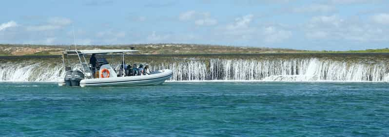 cygnet bay waterfall reef tour