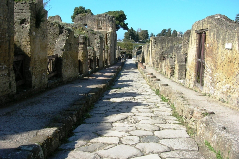 Sla de wachtrij over in Herculaneum - Groepstour van een halve dagVIP Halve dag groepsreis met kleine groep