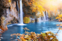 From Porec and Rovinj, Full-Day Plitvice Lakes Guided Trip - Housity