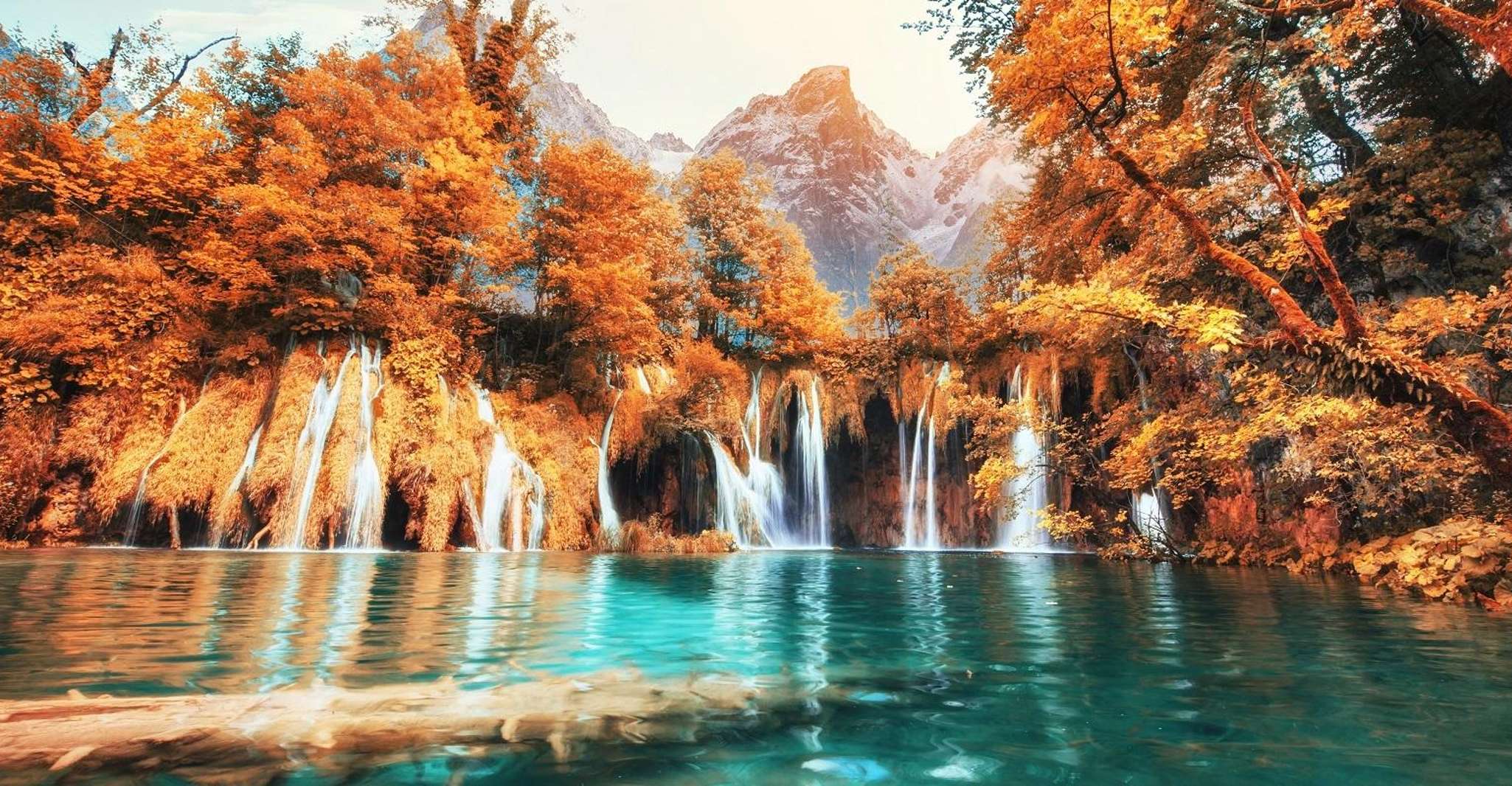 From Porec and Rovinj, Full-Day Plitvice Lakes Guided Trip - Housity