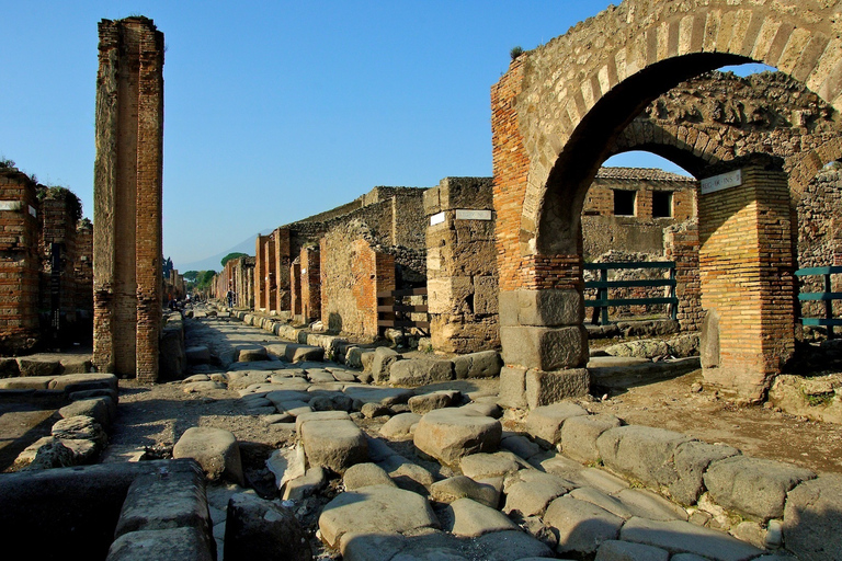 Da Napoli: Tour privato di Pompei e della Costiera Amalfitana di un giorno interoTour in inglese, italiano o spagnolo