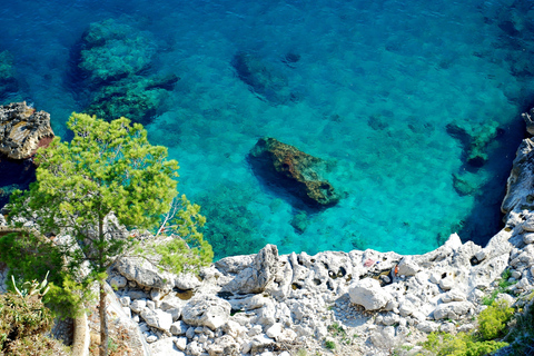 Pompeii en Amalfi kust: Full-Day Private Tour