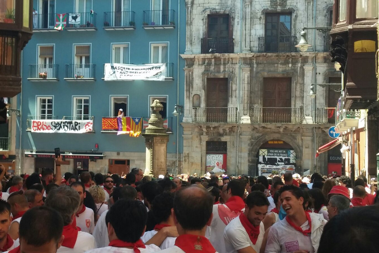 Pamplona: Best of the City Private Tour