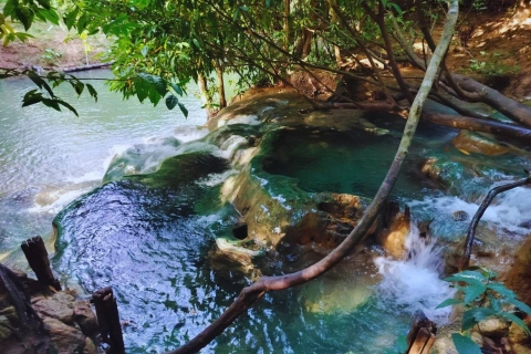 Ko Lanta : visite de l'Emerald Pool et des sources chaudes