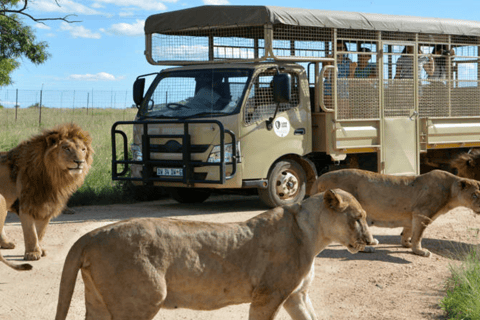 Parco dei leoni e dei safari: Un&#039;avventura nel cuore della naturaSafari guidato di 3 ore