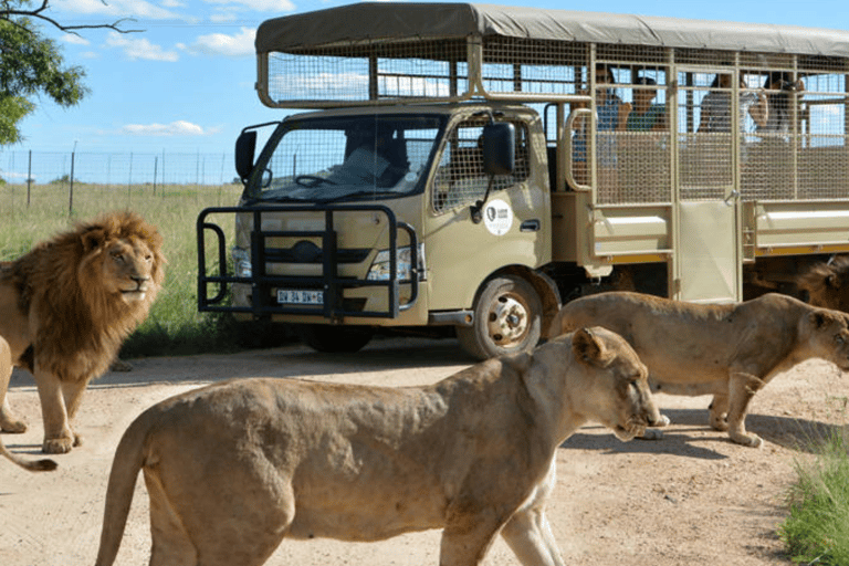 Parco dei leoni e dei safari: Un&#039;avventura nel cuore della naturaSafari guidato di 3 ore