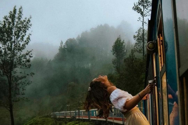 Kandy: Nuwara Eliya, Ambewela Drop Tour & Ella Train journey Kandy: Nuwara Eliya, Ambewela Drop Tour by car or van