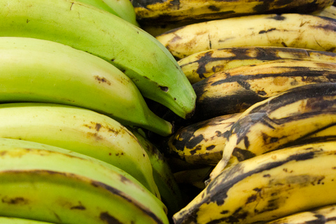 Bogotá: Aula de culinária de meio dia sobre Abundância Tropical