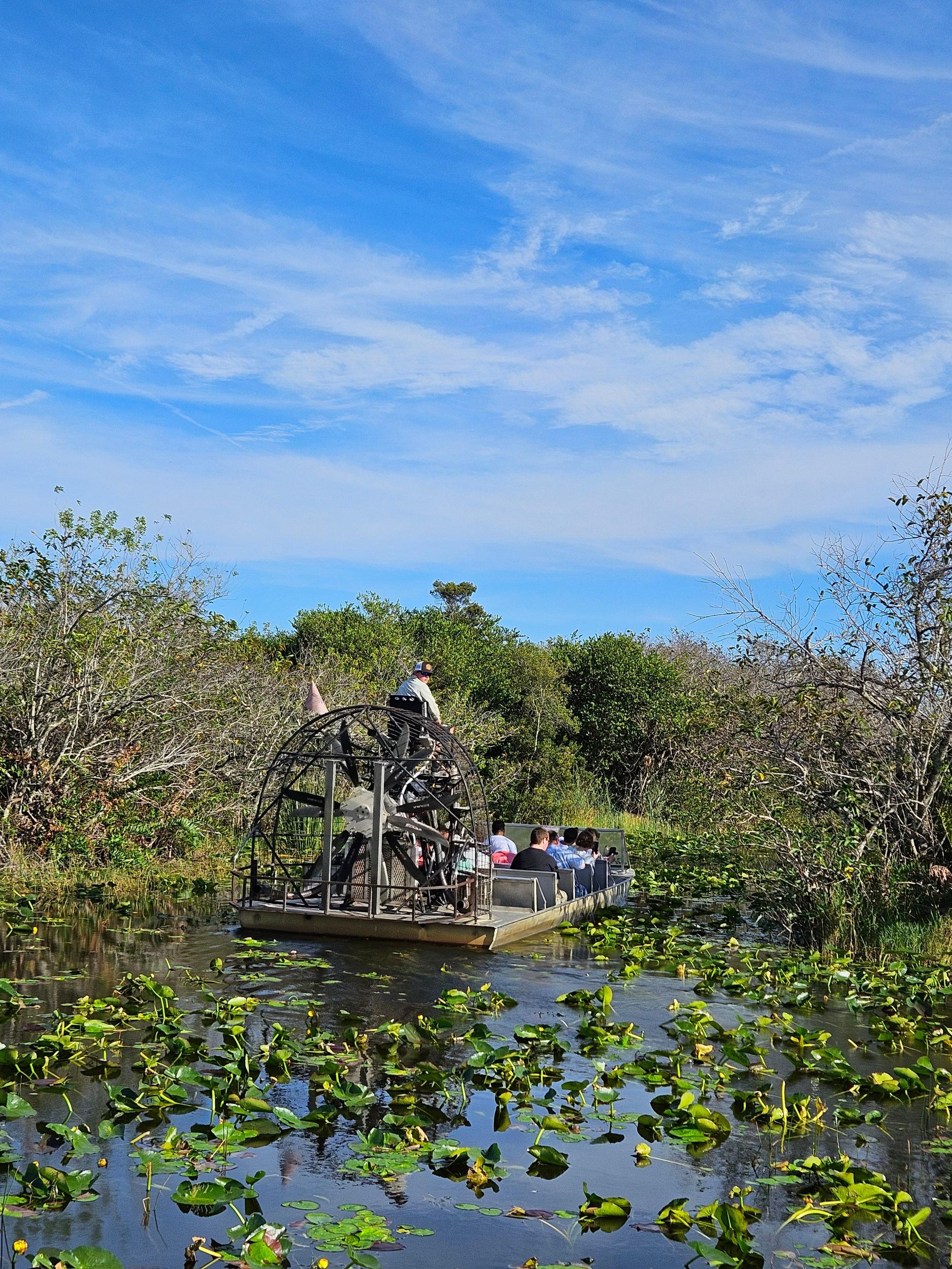 Everglades: Bootstour mit Transport und Eintritt inklusive