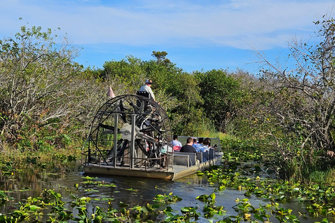 Everglades: Bootstour mit Transport und Eintritt inklusive