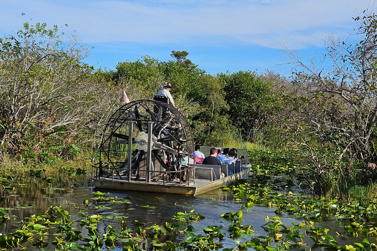 Everglades: boat tour with transportation&amp; entrance included