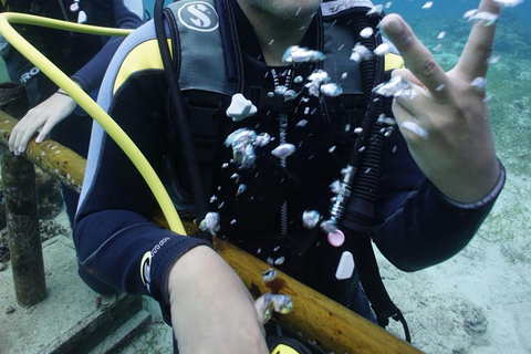 CEBU : Essai de plongée et photo sous-marine souvenir