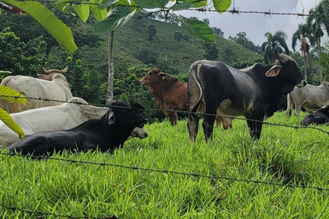 Private: Anamuya Mountain Walking Tour