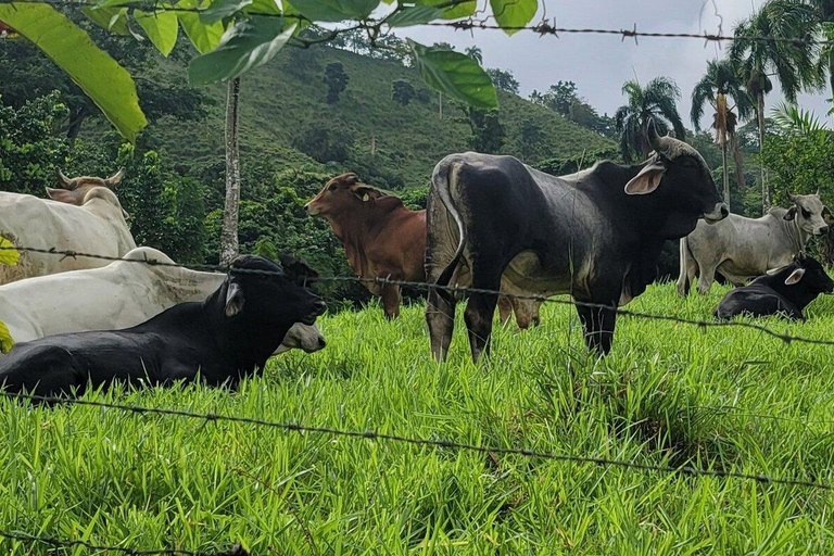 Private: Anamuya Mountain Walking Tour