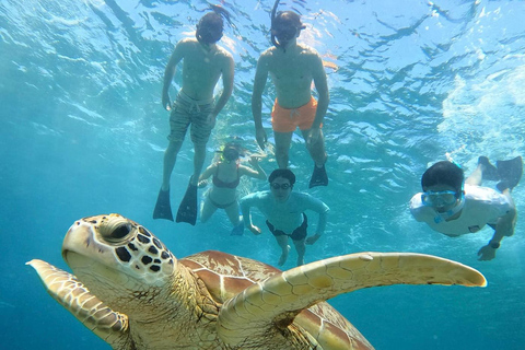 Gili eiland : Groep/Share Snorkeltour 3 gili eilandenGroep/Share Snorkeltour per Glazen Bodem Boot