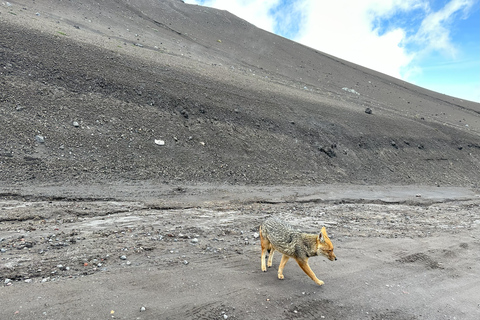 Tur till vulkanen Cotopaxi på en dag från Quito - Allt inkluderat